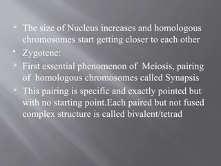 cell cycle BSN degree proram ppt .pptx