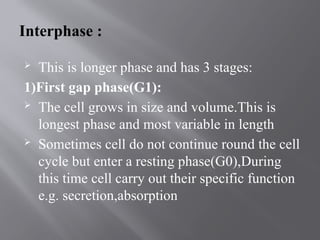 cell cycle BSN degree proram ppt .pptx