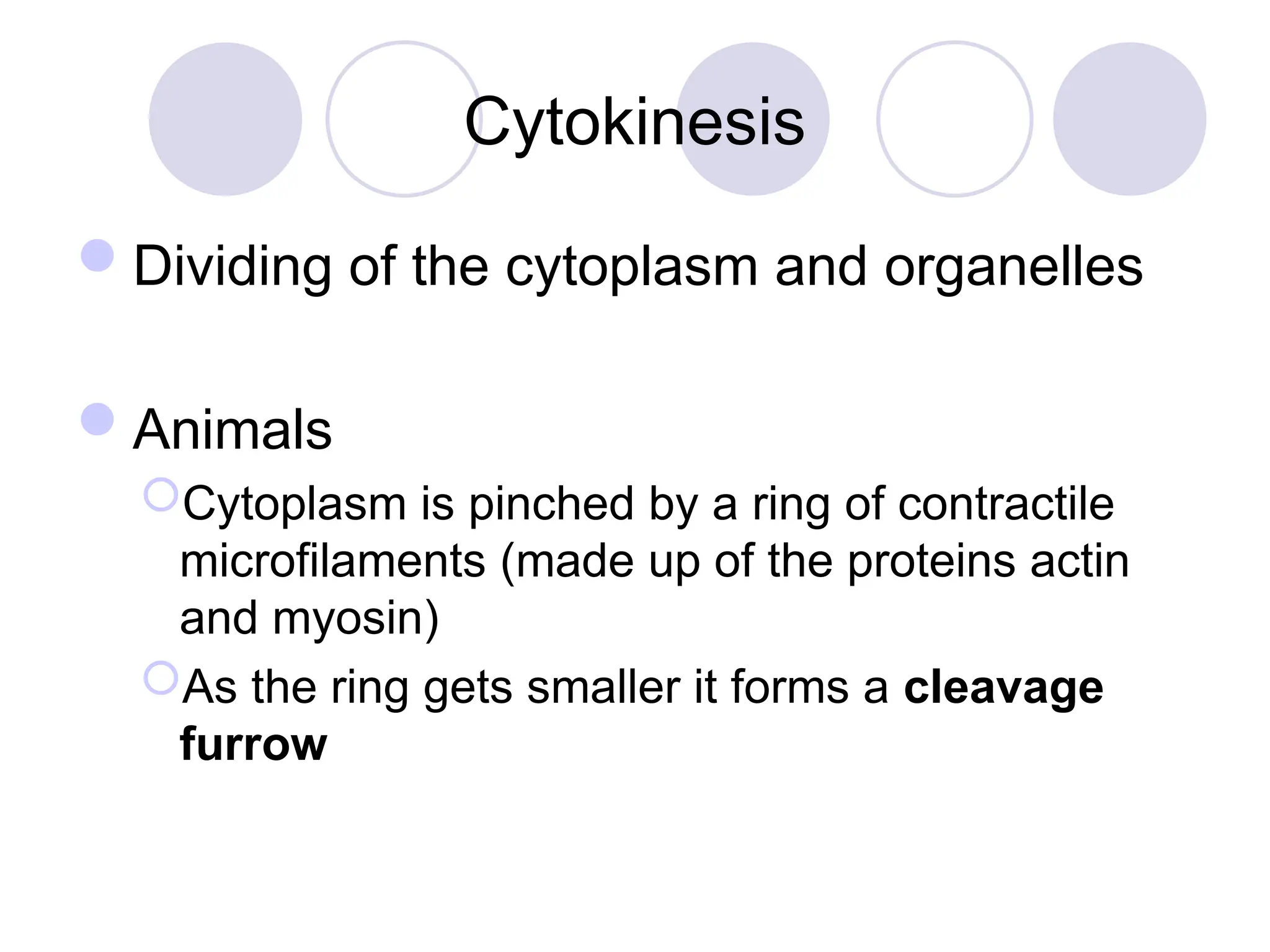 Cytokinesis
Dividing of the cytoplasm and organelles
Animals
Cytoplasm is pinched by a ring of contractile
microfilaments (made up of the proteins actin
and myosin)
As the ring gets smaller it forms a cleavage
furrow
 