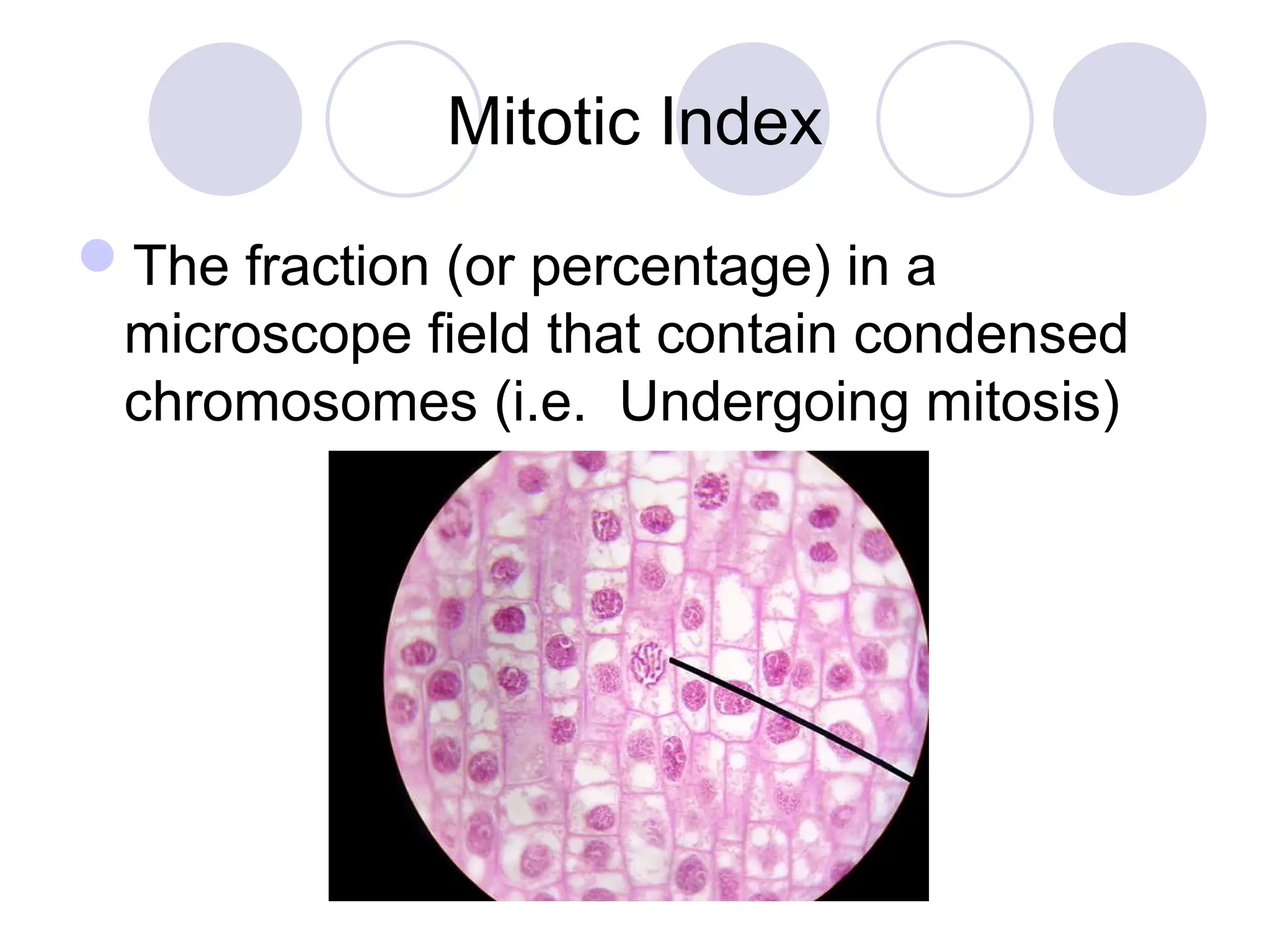 Mitotic Index
The fraction (or percentage) in a
microscope field that contain condensed
chromosomes (i.e. Undergoing mitosis)
 