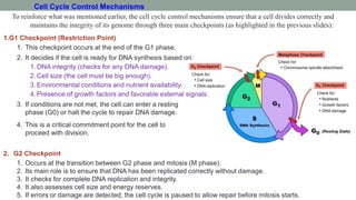 Cell Cycle | PDF