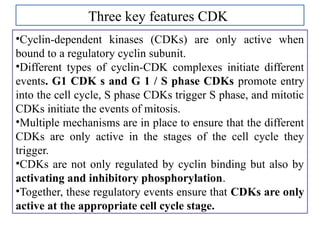 Cell Cycle complete data from basics to complex.pptx