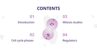Detailed introduction to Cell Cycle.pptx