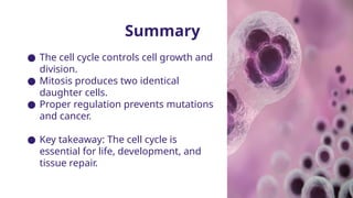 Summary
● The cell cycle controls cell growth and
division.
● Mitosis produces two identical
daughter cells.
● Proper regulation prevents mutations
and cancer.
● Key takeaway: The cell cycle is
essential for life, development, and
tissue repair.
 