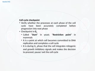 Cell Cycle R Point Cell cycle PART 1 (introduction, stages, components regulating the cell ...