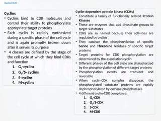 Cell cycle PART 1 (introduction, stages, components regulating the cell ...