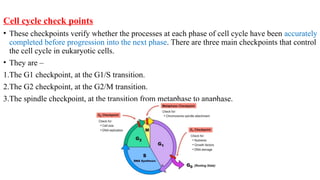 cell cycles along with there cell signalling compounds | PPTX