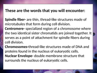 These are the words that you will encounter:
Spindle fiber- are thin, thread-like structures made of
microtubules that form during cell division.
Centromere- specialized region of a chromosome where
the two identical sister chromatids are joined together. It
serves as a point of attachment for spindle fibers during
cell division.
Chromosomes-thread-like structures made of DNA and
proteins found in the nucleus of eukaryotic cells.
Nuclear Envelope- double membrane structure that
surrounds the nucleus of eukaryotic cells.
 