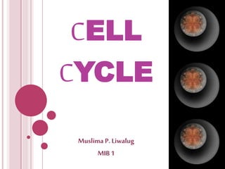 CELL
CYCLE
Muslima P. Liwalug
MIB 1
 