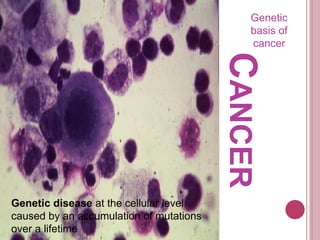 CANCER
Genetic
basis of
cancer
Genetic disease at the cellular level
caused by an accumulation of mutations
over a lifetime
 