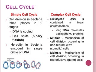 CELL CYCLE
Simple Cell Cycle
o Cell division in bacteria
takes places in 2
stages
• DNA is copied
• Cell splits (binary
fission)
o Heredity in bacteria
encoded in single
circle of DNA
Complex Cell Cycle
o Eukaryotic DNA is
contained in linear
chromosomes
• long DNA molecules
packaged w/ proteins
o Mitosis - Mechanism of
cell division occurring in
non-reproductive
(somatic) cells
o Meiosis - Mechanism of
cell division occurring in
reproductive (germ) cells
 