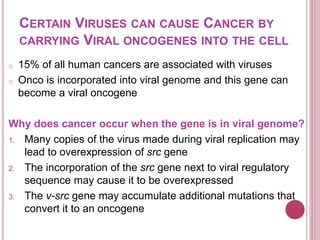 CERTAIN VIRUSES CAN CAUSE CANCER BY
CARRYING VIRAL ONCOGENES INTO THE CELL
o 15% of all human cancers are associated with viruses
o Onco is incorporated into viral genome and this gene can
become a viral oncogene
Why does cancer occur when the gene is in viral genome?
1. Many copies of the virus made during viral replication may
lead to overexpression of src gene
2. The incorporation of the src gene next to viral regulatory
sequence may cause it to be overexpressed
3. The v-src gene may accumulate additional mutations that
convert it to an oncogene
 