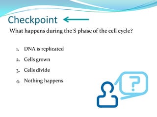 Checkpoint
What happens during the S phase of the cell cycle?


  1. DNA is replicated

  2. Cells grown

  3. Cells divide

  4. Nothing happens
 