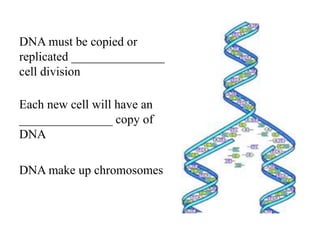 DNA must be copied or
replicated _______________
cell division

Each new cell will have an
_______________ copy of
DNA

DNA make up chromosomes
 