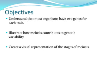 Objectives
 Understand that most organisms have two genes for
  each trait.

 Illustrate how meiosis contributes to genetic
  variability.

 Create a visual representation of the stages of meiosis.
 