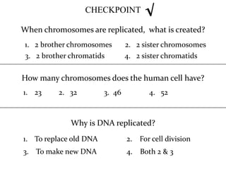 CHECKPOINT         √
When chromosomes are replicated, what is created?
 1. 2 brother chromosomes       2. 2 sister chromosomes
 3. 2 brother chromatids        4. 2 sister chromatids

How many chromosomes does the human cell have?
1. 23     2. 32         3. 46          4. 52



             Why is DNA replicated?
1. To replace old DNA           2. For cell division
3. To make new DNA              4. Both 2 & 3
 
