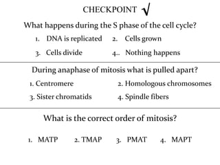 CHECKPOINT    √
What happens during the S phase of the cell cycle?
   1. DNA is replicated    2. Cells grown
   3. Cells divide         4.. Nothing happens

  During anaphase of mitosis what is pulled apart?
 1. Centromere              2. Homologous chromosomes
 3. Sister chromatids       4. Spindle fibers

     What is the correct order of mitosis?

 1. MATP         2. TMAP    3. PMAT       4. MAPT
 
