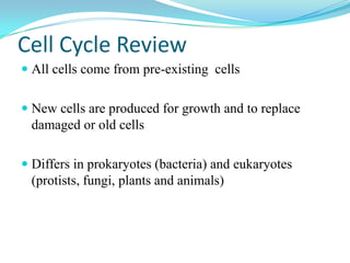 Cell Cycle Review
 All cells come from pre-existing cells


 New cells are produced for growth and to replace
  damaged or old cells

 Differs in prokaryotes (bacteria) and eukaryotes
  (protists, fungi, plants and animals)
 