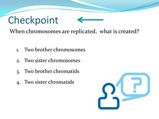 Checkpoint
When chromosomes are replicated, what is created?


  1. Two brother chromosomes

  2. Two sister chromosomes

  3. Two brother chromatids

  4. Two sister chromatids
 