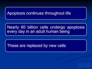 Cell cycle and apoptosis | PPTX