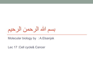 ‫الرحيم‬ ‫الرحمن‬ ‫هللا‬ ‫بسم‬
Molecular biology by : A.Elsanjak
Lec 17 :Cell cycle& Cancer
 