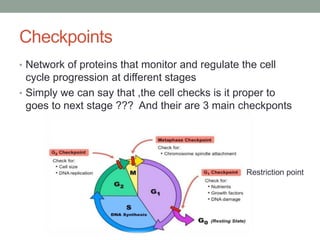 Cell cycle and Cancer biochemistry .pptx