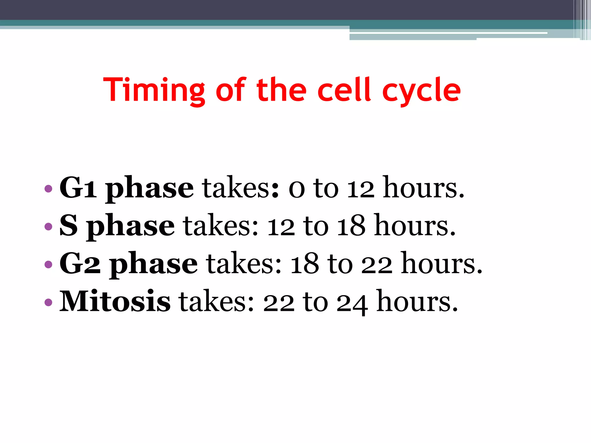 Timing of the cell cycle
• G1 phase takes: 0 to 12 hours.
• S phase takes: 12 to 18 hours.
• G2 phase takes: 18 to 22 hours.
• Mitosis takes: 22 to 24 hours.
 