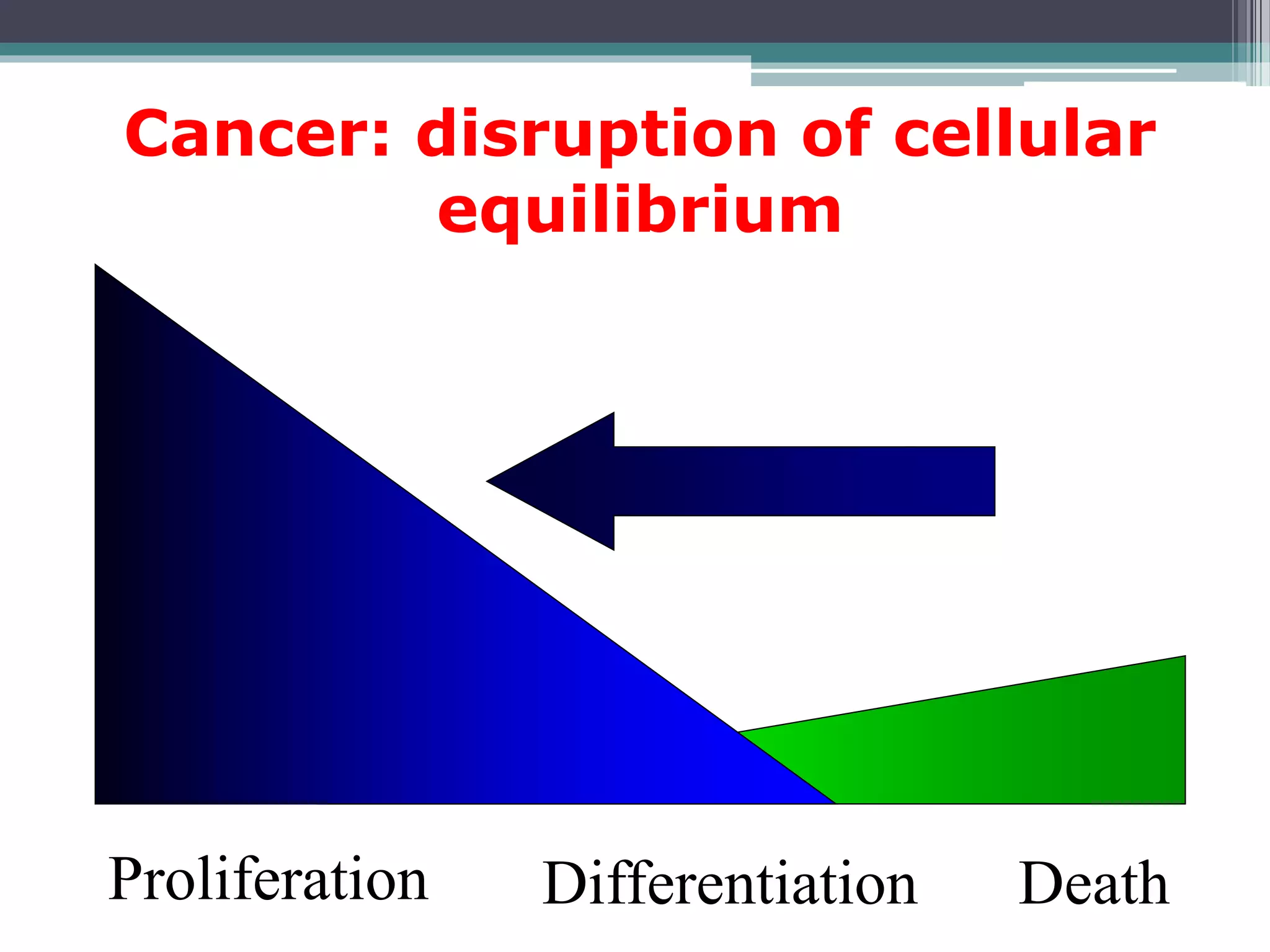 Proliferation Differentiation Death
Cancer: disruption of cellular
equilibrium
 