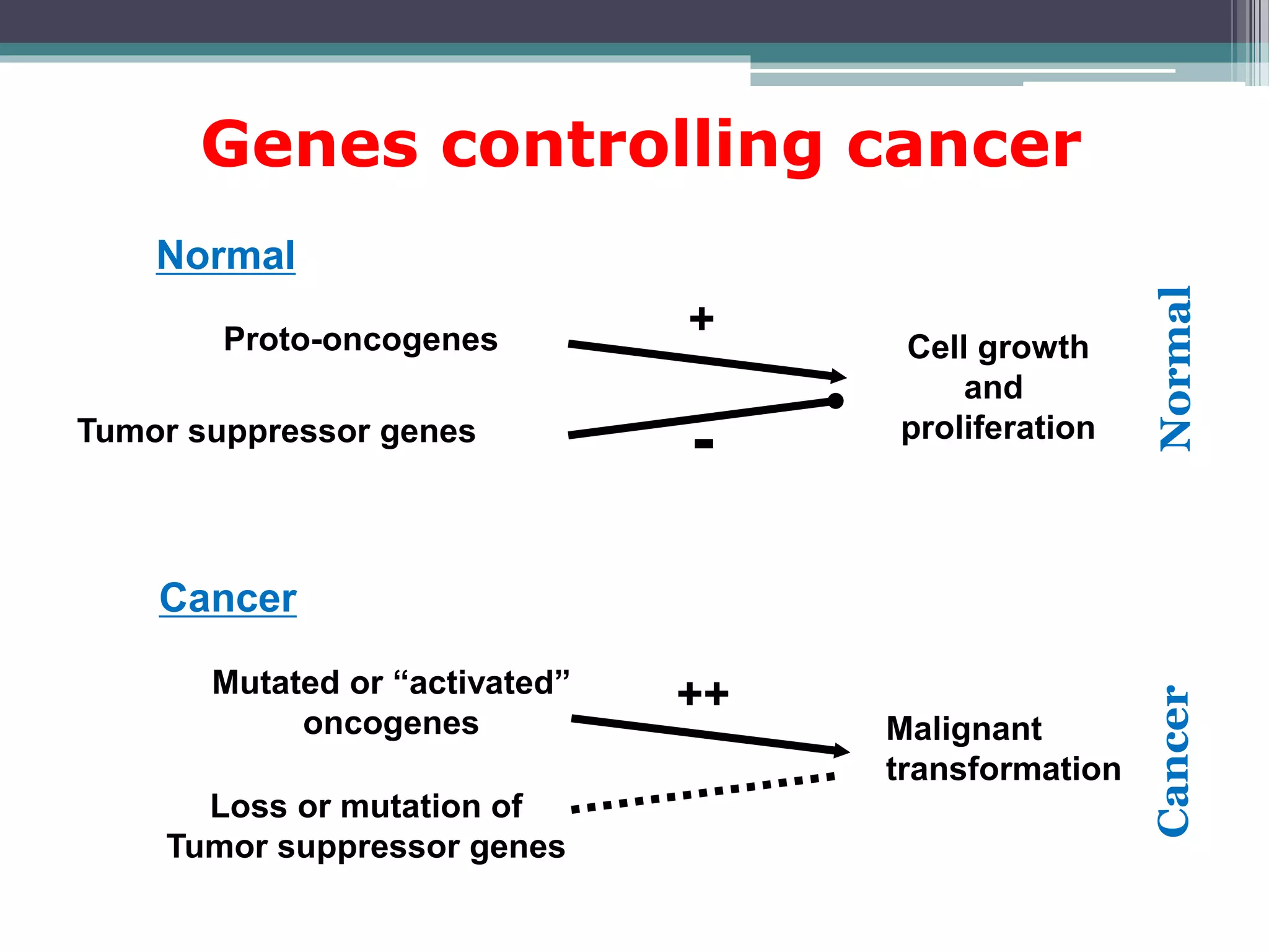 Genes controlling cancer
Normal
Cancer
Proto-oncogenes Cell growth
and
proliferationTumor suppressor genes
+
-
Mutated or “activated”
oncogenes Malignant
transformation
Loss or mutation of
Tumor suppressor genes
++
NormalCancer
 