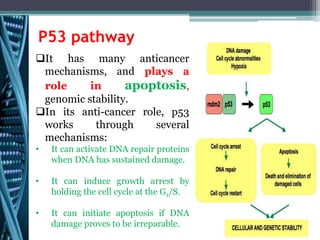 Cell cycle and carcinogenesis by Hussein Sabit | PPTX