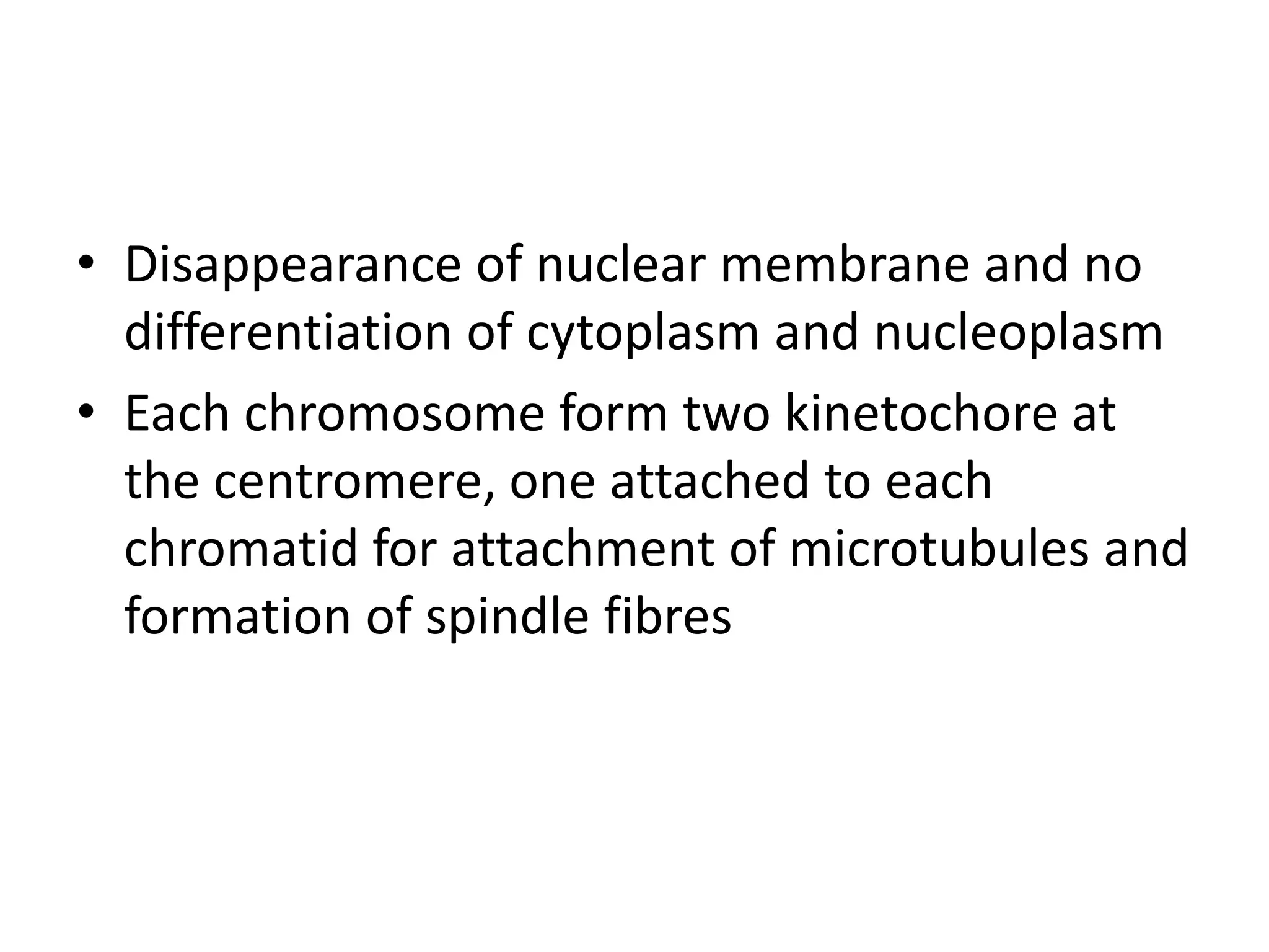 • Disappearance of nuclear membrane and no
differentiation of cytoplasm and nucleoplasm
• Each chromosome form two kinetochore at
the centromere, one attached to each
chromatid for attachment of microtubules and
formation of spindle fibres
 