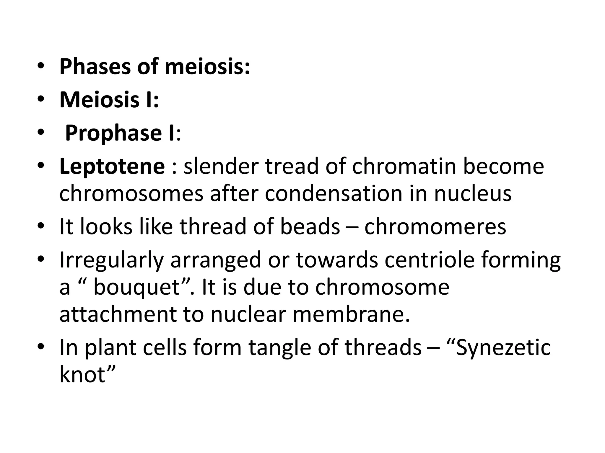 • Phases of meiosis:
• Meiosis I:
• Prophase I:
• Leptotene : slender tread of chromatin become
chromosomes after condensation in nucleus
• It looks like thread of beads – chromomeres
• Irregularly arranged or towards centriole forming
a “ bouquet”. It is due to chromosome
attachment to nuclear membrane.
• In plant cells form tangle of threads – “Synezetic
knot”
 