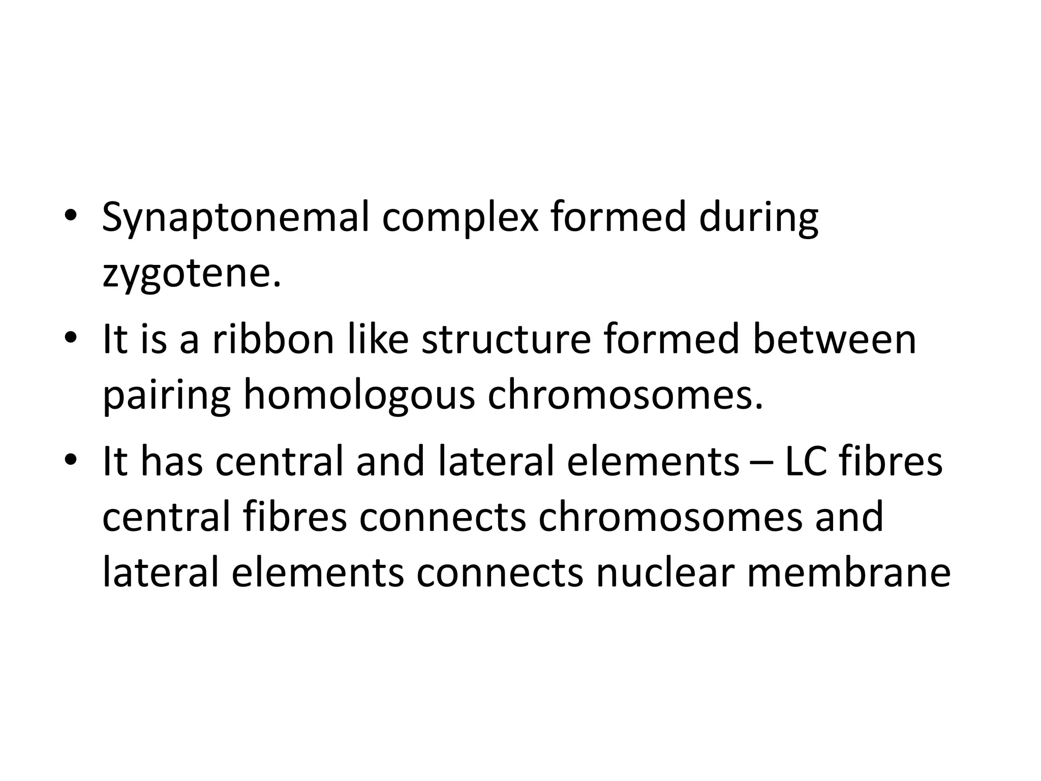 • Synaptonemal complex formed during
zygotene.
• It is a ribbon like structure formed between
pairing homologous chromosomes.
• It has central and lateral elements – LC fibres
central fibres connects chromosomes and
lateral elements connects nuclear membrane
 