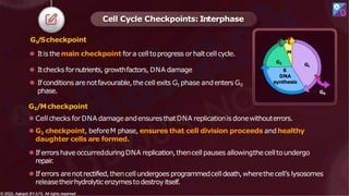 Cell Cycle Checkpoints: Interphase
G1
/Scheckpoint
⚫ Itis the main checkpoint fora celltoprogress orhaltcell cycle.
⚫ Itchecks fornutrients,growthfactors, DNA damage
⚫ Ifconditions arenotfavourable,thecell exits G1 phase andenters G0
phase.
G2/Mcheckpoint
⚫ Cell checks for DNA damageandensuresthatDNA replicationis donewithouterrors.
⚫ G2 checkpoint, beforeM phase, ensures that cell division proceeds andhealthy
daughter cells are formed.
⚫ Iferrorshave occurredduringDNA replication,thencell pauses allowingthecelltoundergo
repair
.
⚫ Iferrors arenotrectified,thencellundergoes programmedcelldeath,wherethecell’s lysosomes
releasetheirhydrolyticenzymestodestroy itself.
G2
© 2022, Aakash BYJU'S. All rights reserved
© 2022, Aakash BYJU'S. All rights reserved
M
S
DNA
synthesis
G1
G0
 
