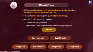 Mitosis Phase
⚫ Mitosiswas first observed by Strasburger in plant cell and
by Walter Flemming in animal cell.
⚫ The term mitosiswas given by Walter Flemming.
⚫ A typeof celldivisionthatproduces:
○ T
wo similardaughtercells
○ Havingthe samenumberof chromosomes as parentcell.
Mitosis
Prophase Metaphase Anaphase Telophase
Karyokinesis Cytokinesis
© 2022, Aakash BYJU'S. All rights reserved
© 2022, Aakash BYJU'S. All rights reserved
 