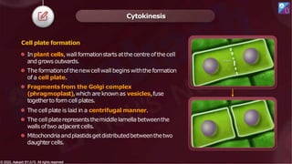 Cell plate formation
⚫ Inplant cells,wallformationstarts atthecentreofthecell
and grows outwards.
⚫ The formationofthenewcellwall begins withtheformation
of a cell plate.
⚫ Fragments from the Golgi complex
(phragmoplast),which are known as vesicles,fuse
togetherto form cell plates.
⚫ The cellplate is laid in a centrifugal manner.
⚫ The cellplaterepresentsthemiddlelamella betweenthe
walls oftwo adjacentcells.
⚫ Mitochondriaandplastidsgetdistributedbetweenthetwo
daughtercells.
Cytokinesis
© 2022, Aakash BYJU'S. All rights reserved
© 2022, Aakash BYJU'S. All rights reserved
 