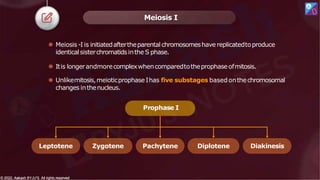 Meiosis I
⚫ Meiosis -I is initiatedaftertheparental chromosomeshave replicatedtoproduce
identicalsisterchromatidsinthe S phase.
⚫ Itis longerandmorecomplexwhencomparedtotheprophaseofmitosis.
⚫ Unlikemitosis,meioticprophase Ihas five substages based onthechromosomal
changes inthenucleus.
Prophase I
Leptotene Zygotene Pachytene Diplotene Diakinesis
© 2022, Aakash BYJU'S. All rights reserved
© 2022, Aakash BYJU'S. All rights reserved
 