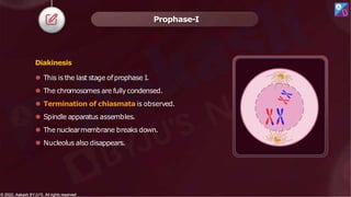 Diakinesis
⚫ This is the last stage ofprophase I.
⚫ The chromosomes are fullycondensed.
⚫ Termination of chiasmata is observed.
⚫ Spindle apparatus assembles.
⚫ The nuclearmembrane breaks down.
⚫ Nucleolus also disappears.
Prophase-I
© 2022, Aakash BYJU'S. All rights reserved
© 2022, Aakash BYJU'S. All rights reserved
 