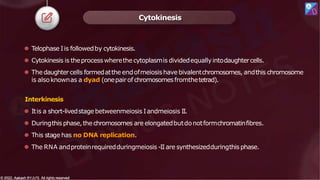 ⚫ Telophase Iis followedby cytokinesis.
⚫ Cytokinesis is theprocesswherethecytoplasmis dividedequallyintodaughtercells.
⚫ Thedaughtercells formedatthe endofmeiosishave bivalentchromosomes, andthis chromosome
is alsoknownas a dyad (onepairof chromosomesfromthetetrad).
Interkinesis
⚫ Itis a short-livedstage betweenmeiosis Iandmeiosis II.
⚫ Duringthis phase,thechromosomes are elongatedbutdonotformchromatinfibres.
⚫ This stage has no DNA replication.
⚫ The RNA andproteinrequiredduringmeiosis -IIare synthesizedduringthis phase.
Cytokinesis
© 2022, Aakash BYJU'S. All rights reserved
© 2022, Aakash BYJU'S. All rights reserved
 