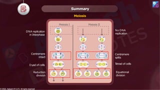 Summary
Reduction
division
Equational
division
Centromere
intact
DNA replication
in Interphase
No DNA
replication
Meiosis I Meiosis II
Centromere
splits
© 2022, Aakash BYJU'S. All rights reserved
© 2022, Aakash BYJU'S. All rights reserved
Dyad of cells T
etrad of cells
Meiosis
 