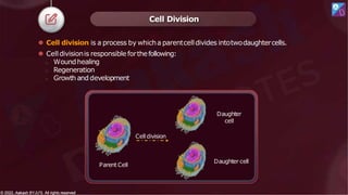 ⚫ Cell division is a process by whicha parentcelldivides intotwodaughtercells.
⚫ Celldivisionis responsible forthefollowing:
o Woundhealing
o Regeneration
o Growth and development
Cell Division
Parent Cell
Daughter
cell
Daughter cell
Celldivision
© 2022, Aakash BYJU'S. All rights reserved
© 2022, Aakash BYJU'S. All rights reserved
 