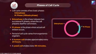 ⚫ Cell cycle consists oftwo basic phases
o Interphase
o M Phase (Mitosis phase)
⚫ I
nterphase is the phase betweentwo
successiveM phases,wherethe cell
prepares itself forcelldivision.
⚫ M phase is thephasewhere actualcell
division occurs.
⚫ Periodof cell cyclevaries fromorganismto
organism.
⚫ A human cell divides approximatelyevery
24 hours.
⚫ A yeast cell divides every 90 minutes.
Phases of Cell Cycle
Interphase
M Phase
© 2022, Aakash BYJU'S. All rights reserved
© 2022, Aakash BYJU'S. All rights reserved
 