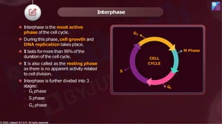 Interphase
CELL
CYCLE
M Phase
G1
G2
© 2022, Aakash BYJU'S. All rights reserved
© 2022, Aakash BYJU'S. All rights reserved
S
⚫ Interphase is the most active
phase ofthe cell cycle.
⚫ Duringthis phase,cell growth and
DNA replication takes place.
⚫ It lasts formore than 95%ofthe
duration ofthe cell cycle.
⚫ It is also called as the resting phase
as there is no apparent activity related
to cell division.
⚫ Interphase is further divided into 3
stages:
o G1phase
o S phase
o G2 phase
 