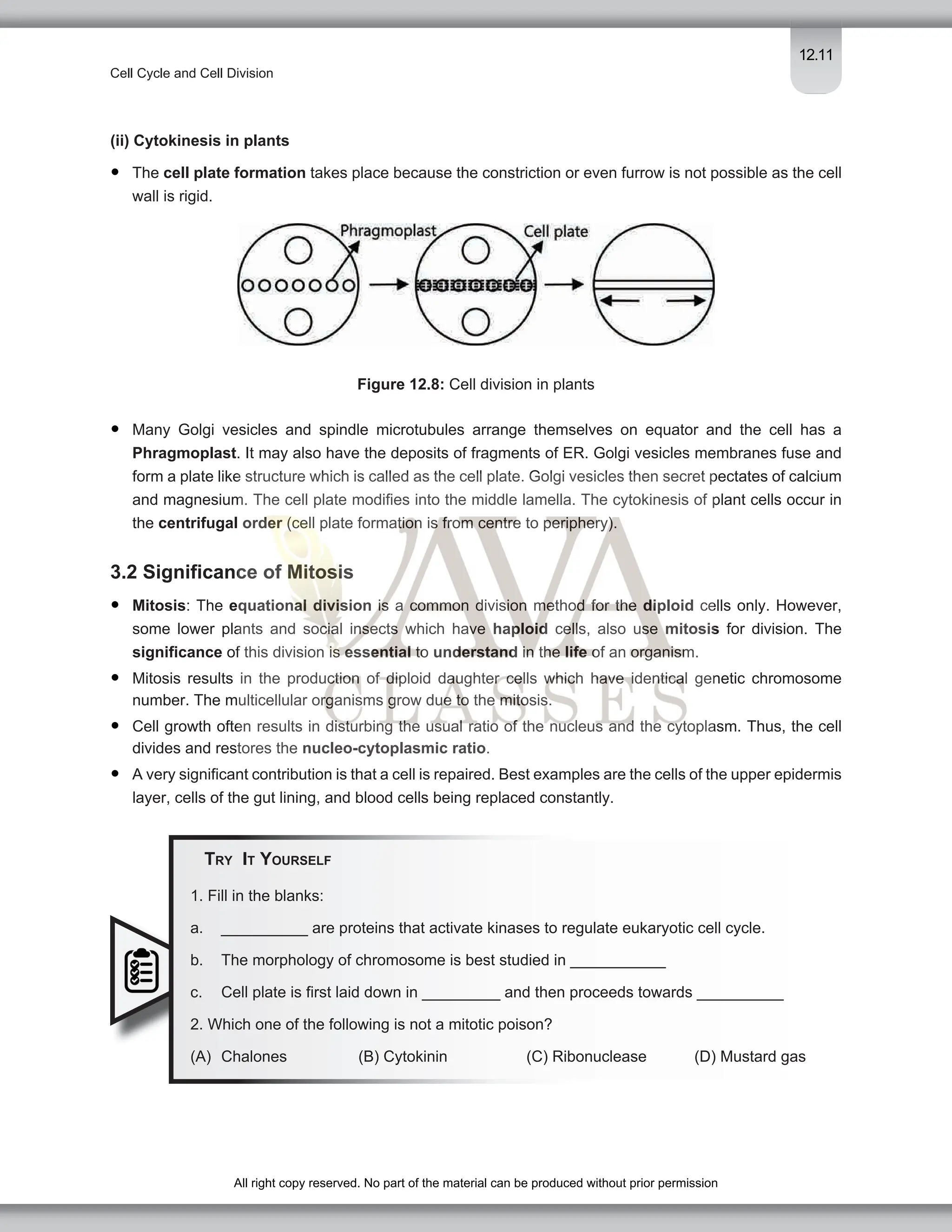 Cell Cycle and Cell Division Class 11 Important Notes for NEET Biology ...