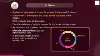 ⚫ G2 phase or gap2 phase is present in between S phase and M phase.
⚫ Mitochondria, chloroplast and Golgi bodies duplicate in this
phase.
⚫ DNA synthesis stops at this phase.
⚫ There is production of proteins required for the actual dividing phase.
⚫ By the end of the G2 phase, the cell is now ready for cell division.
⚫ In animal cells, the mitotic division
takes place only in the
diploid somatic cells.
⚫ In plant cells, mitotic division
is seen both in diploid and
haploid cells.
G2 Phase
CELL
CYCLE
M Phase
G1
G2
S
© 2022, Aakash BYJU'S. All rights reserved
 