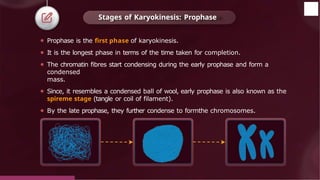 ⚫ Prophase is the first phase of karyokinesis.
⚫ It is the longest phase in terms of the time taken for completion.
⚫ The chromatin fibres start condensing during the early prophase and form a
condensed
mass.
⚫ Since, it resembles a condensed ball of wool, early prophase is also known as the
spireme stage (tangle or coil of filament).
⚫ By the late prophase, they further condense to formthe chromosomes.
Stages of Karyokinesis: Prophase
© 2022, Aakash BYJU'S. All rights reserved
 