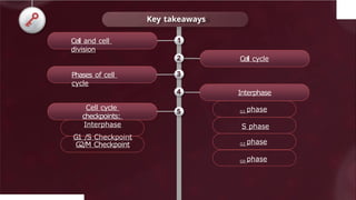Cell cycle
Cell and cell
division
Interphase
Phases of cell
cycle
G1 phase
S phase
G2 phase
G0 phase
Cell cycle
checkpoints:
Interphase
G1 /S Checkpoint
G2/M Checkpoint
Key takeaways
1
2
3
4
5
 