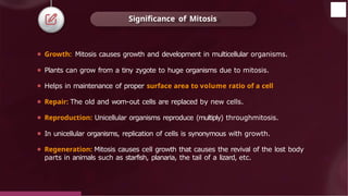 Significance of Mitosis
© 2022, Aakash BYJU'S. All rights reserved
⚫ Growth: Mitosis causes growth and development in multicellular organisms.
⚫ Plants can grow from a tiny zygote to huge organisms due to mitosis.
⚫ Helps in maintenance of proper surface area to volume ratio of a cell
⚫ Repair: The old and worn-out cells are replaced by new cells.
⚫ Reproduction: Unicellular organisms reproduce (multiply) throughmitosis.
⚫ In unicellular organisms, replication of cells is synonymous with growth.
⚫ Regeneration: Mitosis causes cell growth that causes the revival of the lost body
parts in animals such as starfish, planaria, the tail of a lizard, etc.
 