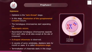 Diplotene
⚫ Diplotene is the ‘twin thread’ stage.
⚫ In this stage, dissolution of the synaptonemal
complex occurs.
⚫ The homologous chromosomes start separating
i.e.
desynapsis occurs.
⚫ Recombined homologous chromosomes separate
from each other at all sites except at the site of
crossover.
⚫ X-shaped chiasmata is observed.
⚫ In oocytes of some vertebrates, diplotene lasts for
month or years. It is called dictyotene stage.
⚫ Terminalisation of chiasmata starts in this stage.
Prophase-I
X-shaped
chiasmata
© 2022, Aakash BYJU'S. All rights reserved
 