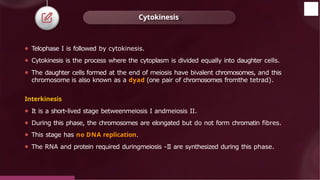 ⚫ Telophase I is followed by cytokinesis.
⚫ Cytokinesis is the process where the cytoplasm is divided equally into daughter cells.
⚫ The daughter cells formed at the end of meiosis have bivalent chromosomes, and this
chromosome is also known as a dyad (one pair of chromosomes fromthe tetrad).
Interkinesis
⚫ It is a short-lived stage betweenmeiosis I andmeiosis II.
⚫ During this phase, the chromosomes are elongated but do not form chromatin fibres.
⚫ This stage has no DNA replication.
⚫ The RNA and protein required duringmeiosis -II are synthesized during this phase.
Cytokinesis
© 2022, Aakash BYJU'S. All rights reserved
 